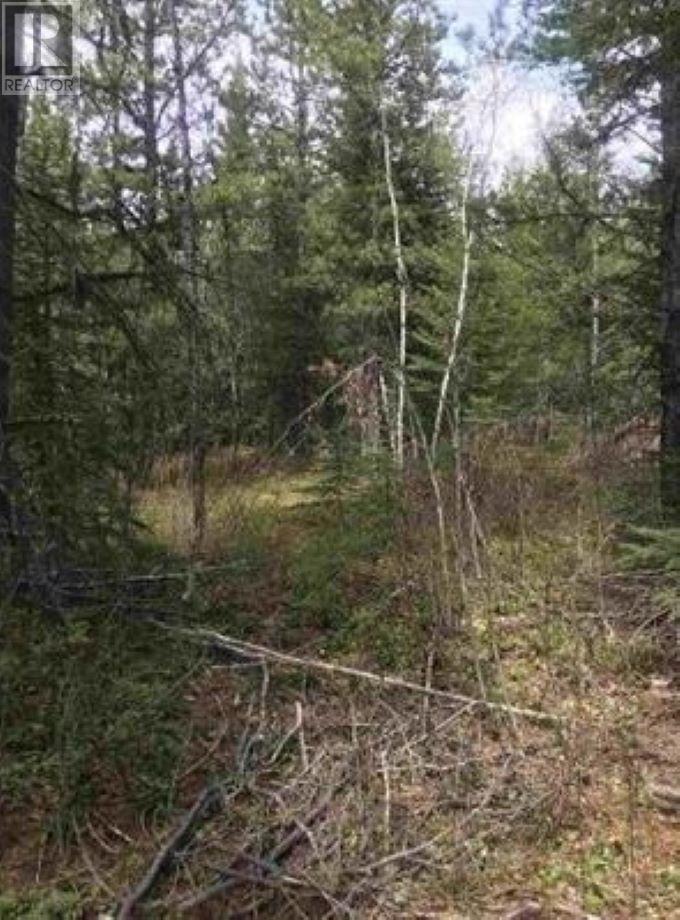 LOT 10 CHIEF LAKE ROAD, Prince British Columbia V2K5Z4 For Sale