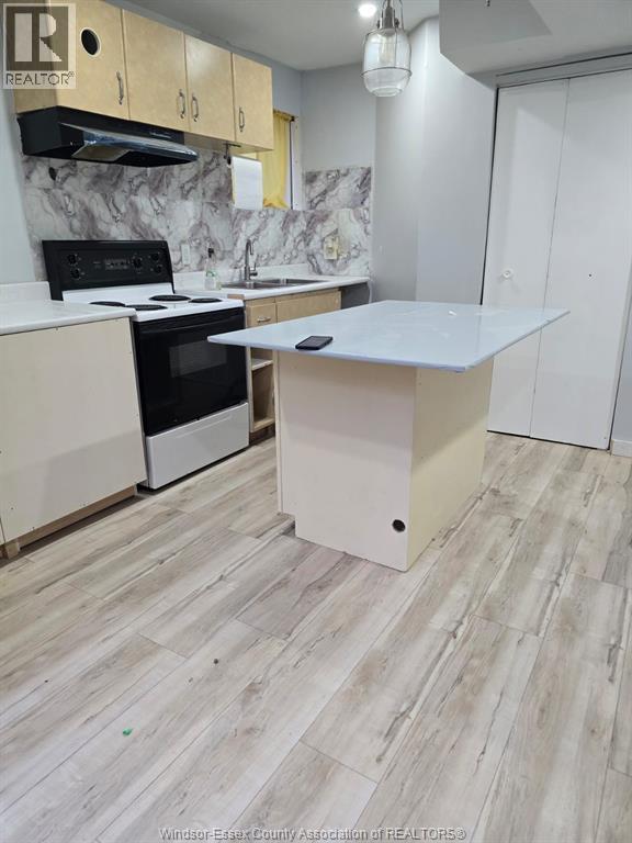 Unit LOWER - 1849 DROUILLARD, Windsor 3