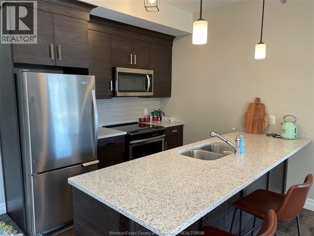 Unit 208 - 5840 NEWMAN, LaSalle 5