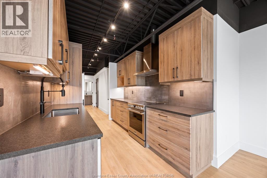 Unit 209 - 3850 DOUGALL, Windsor 3