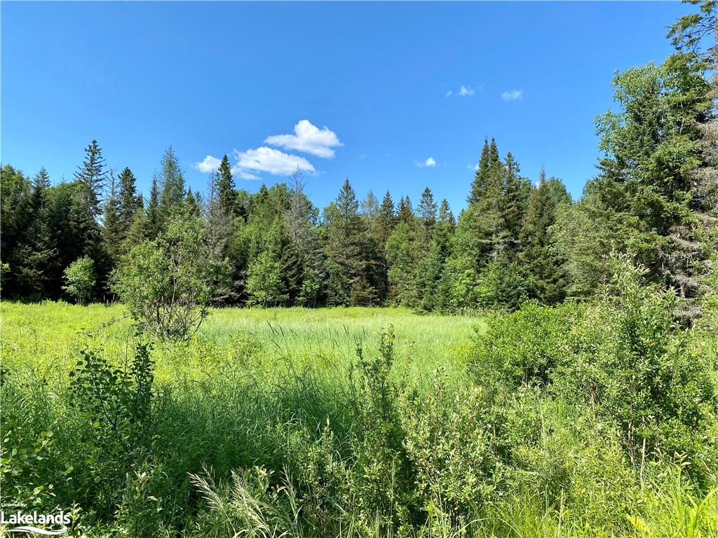 Concession Road 10 And 11, Arnstein, Ontario P0H1A0 For Sale HouseSigma