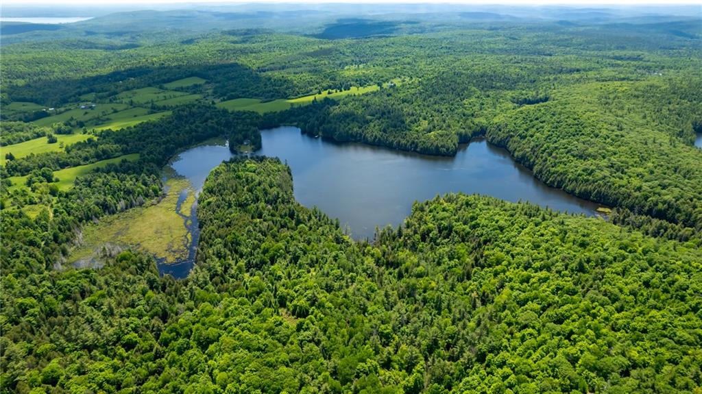 00 MULVIHILL FARM Road, Greater Madawaska Twp, Ontario K7V3Z7 For Sale